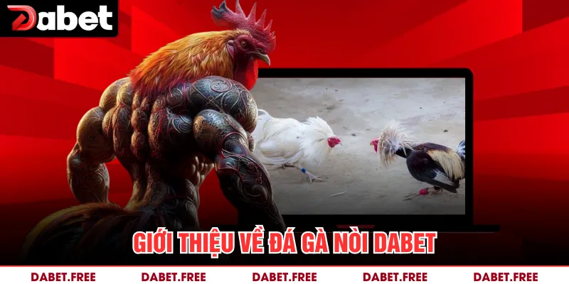Giới thiệu về đá gà nòi Dabet 