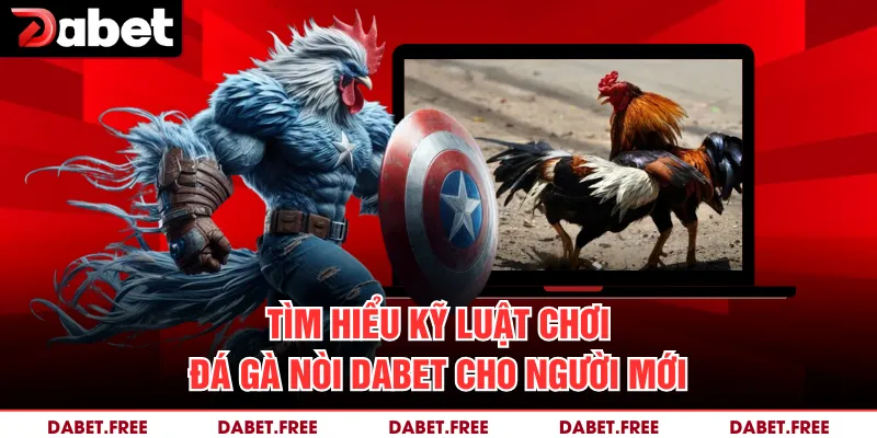 Tìm hiểu kỹ luật chơi đá gà nòi Dabet cho người mới 