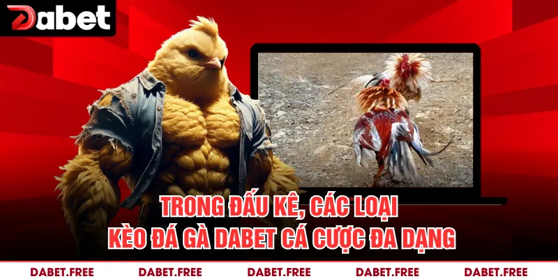 Trong đấu kê, các loại kèo Đá gà Dabet cá cược đa dạng 